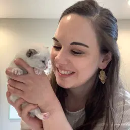 Lauren | Kitten Foster 🐾