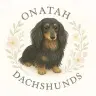 Onatah Dachshunds