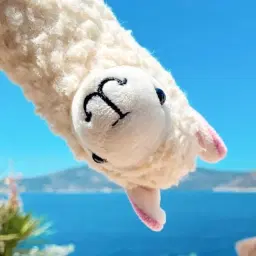 Llama With No Drama