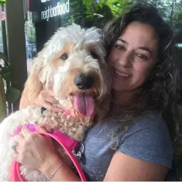 Pawsoflovedoodles | Goldendoodle Puppies