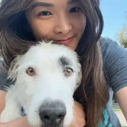Whitney | Foster Dog Enthusiast 🐾