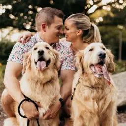 agoldendogmom