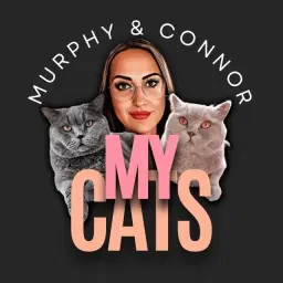 mycatsmurphyandconnor