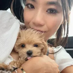 Toby the Toy Maltipoo 🧸